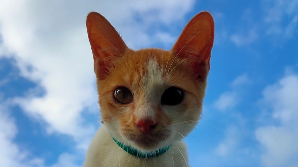 30 Things That Make Me&nbsp;Happy