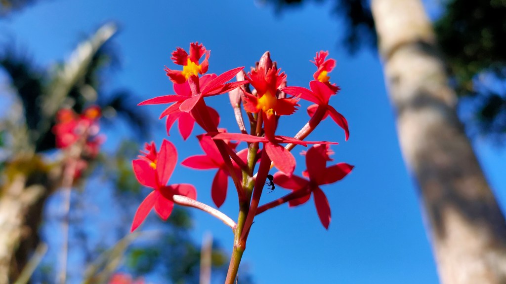 A Word Too Many People&nbsp;Use